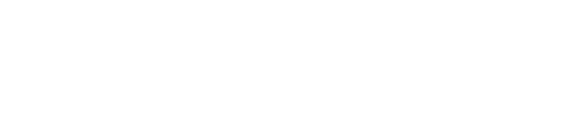 Anatomy 